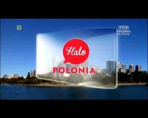 Halo-Polonia-Praca-w-Holandii-12